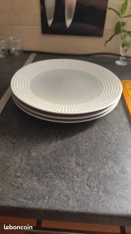 Set of 3 True Stoneware Barbier Dinner Plates – photo 3